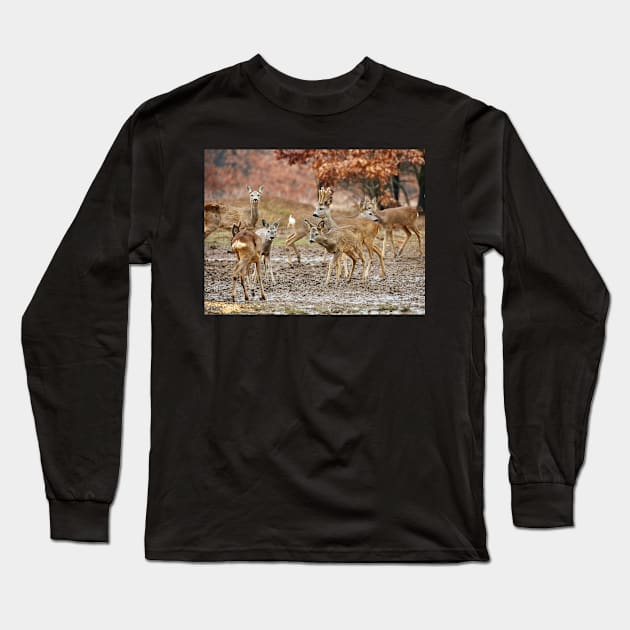 Roe deer family Long Sleeve T-Shirt by naturalis